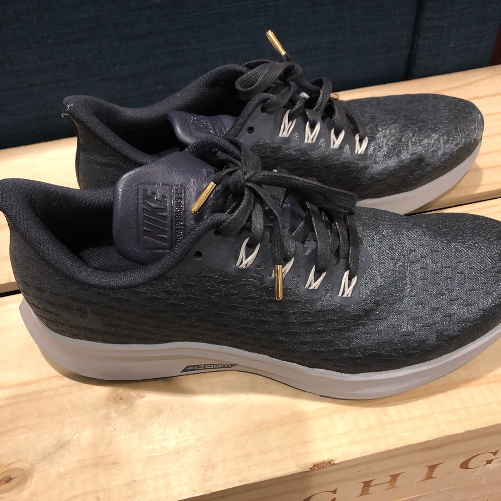 Nike Pegasus Brand New